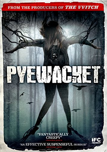 Book Cover Pyewacket