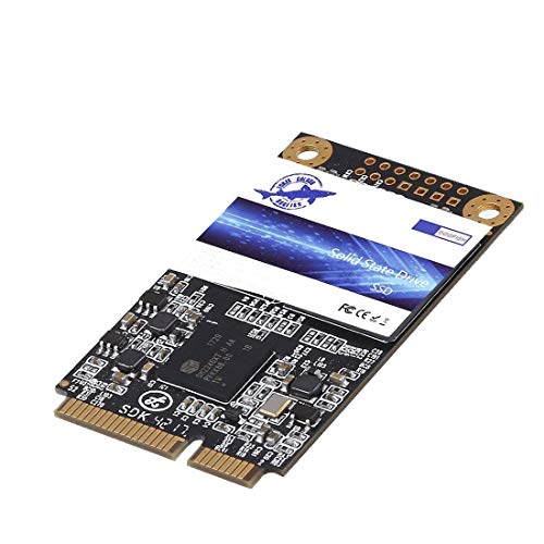Book Cover Dogfish Msata 16GB 32GB 60GB 64GB 120GB128GB 240GB 250GB 480GB 500GB Internal Solid State Drive Mini Sata SSD Disk (480GB)