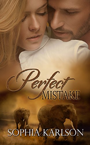 Book Cover Perfect Mistake
