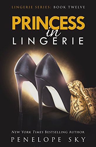 Book Cover Princess in Lingerie