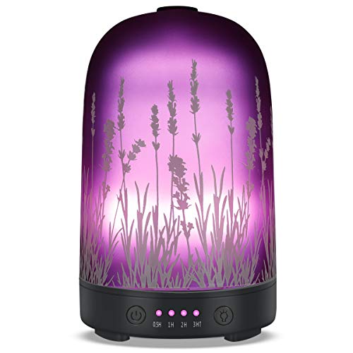 Book Cover PUSEAYZ Essential Oil Diffuser 120ml Glass Fragrance Ultrasonic Cool Mist Humidifier and Waterless Auto Shut-Off 4 Timed Settings for Home Office Yoga Spa Baby
