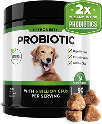 Book Cover PetHonesty Probiotics for Dogs, 90 Advanced Dog Probiotics Chews with 6 Billion CFUs, Prebiotics, Relieves Dog Diarrhea, IBS, Constipation, Improves Digestion, Allergy, Hot Spots, Immunity & Health