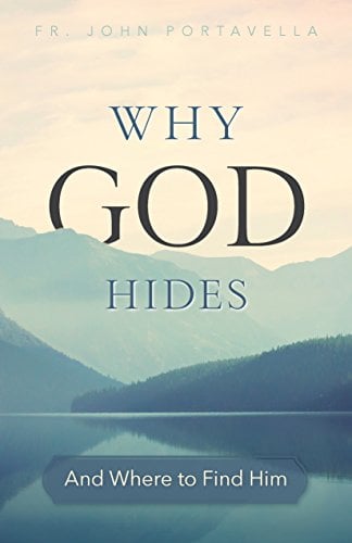 Book Cover Why God Hides: And Where to Find Him