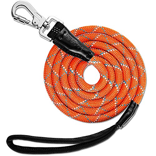 Book Cover iBuddy Dog Leash for Large Dogs and Medium Dogs with Dual Safe Hook and Comfortable Padded Handle, No Slip Vibrant Color Light Weight 6 FT Dog Rope Leash for Dog Walking and Training