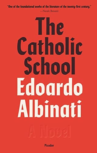 Book Cover The Catholic School: A Novel