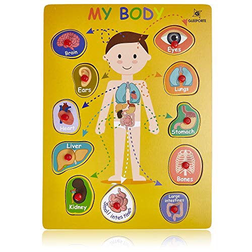 Book Cover Wooden Peg Puzzle, My Body - Inside - Learning Educational Pegged Puzzle for Toddler & Kids (11 pcs) Gleeporte