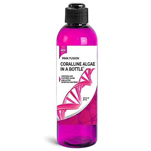 Book Cover Coralline Algae in a Bottle + Nitrifying Bacteria for Saltwater Aquariums, Pink Fusion Strain
