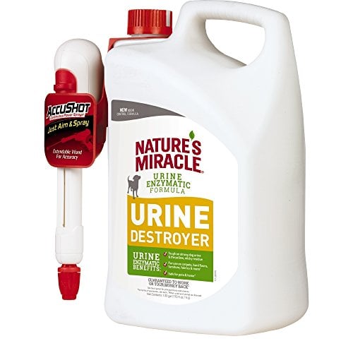 Book Cover Nature's Miracle P-98148 Dog Urine Destroyer, White, 128 oz