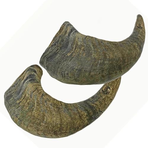 Book Cover WhiteTail Naturals - Water Buffalo Horns for Dogs (2 Pack Large) All-Natural Buffalo Horn Dog Bone - Long Lasting Chew Toy for Aggressive Chewers and Teething Puppies