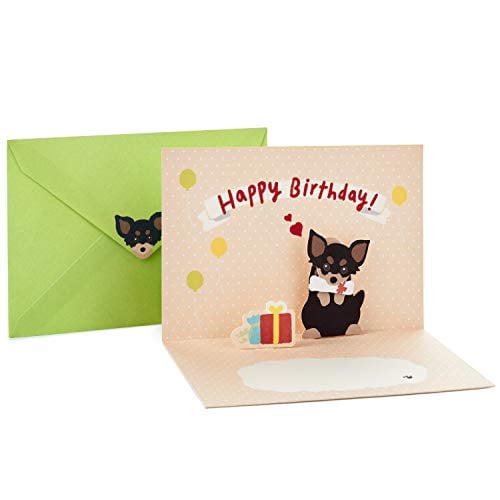 Book Cover Hallmark Pop Up Birthday Card (Chihuahua with Present)