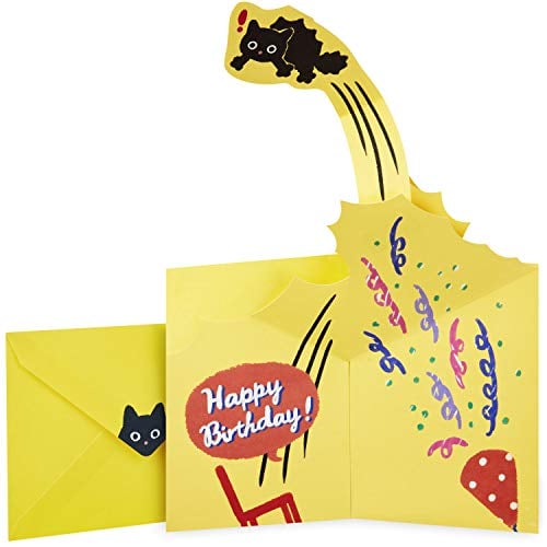 Book Cover Hallmark Pop Up Birthday Card (Surprised Cat)