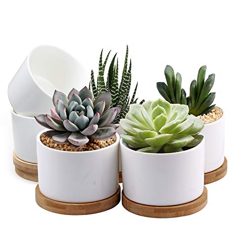 Book Cover ZOUTOG Succulent Pots, White Mini 3.15 inch Ceramic Flower Planter Pot with Bamboo Tray, Pack of 6 - Plants Not Included
