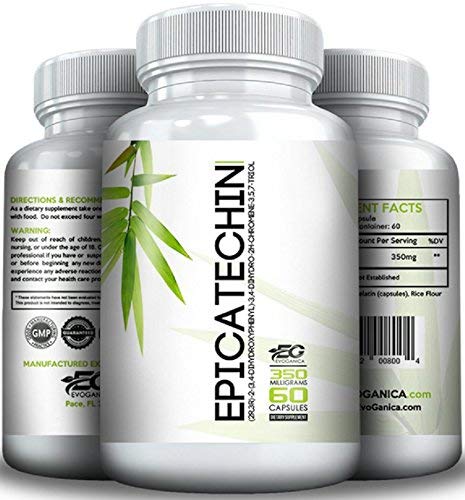 Book Cover EPICATECHIN (350mg x 60ct) by EVOGANICA
