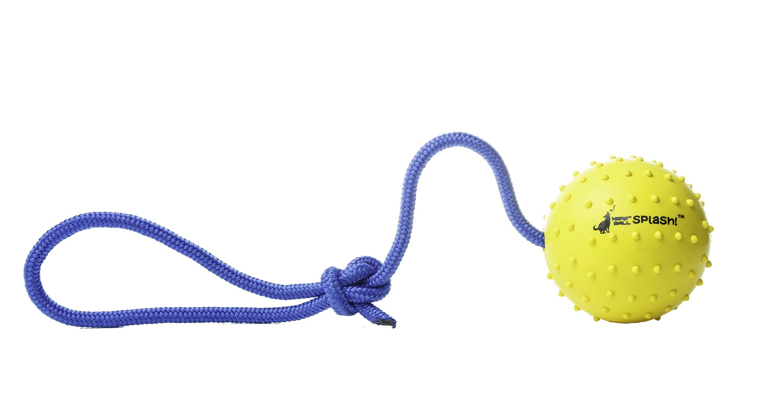 Book Cover Nero Ball Splash! - Floating Rubber Dog Ball on a Rope - Beach, Lake, Pool, Dog Exercise and Reward