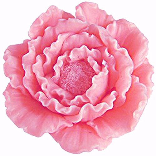 Book Cover Mujiang 3D Peony Flower Cake Decorating Silicone Jello Sugar Chocolate Fondant Molds