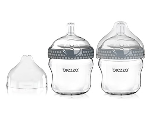 Book Cover Baby Brezza Two Piece Natural Glass Bottle with Lid - Ergonomic, Wide Neck Design Makes it The Easiest to Clean - Modern Look - Anti-Colic, 5 Ounce Size - 2 Bottles, Grey