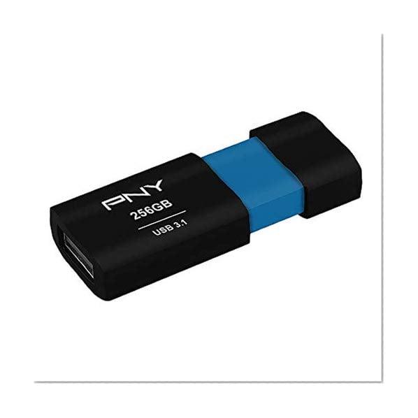 Book Cover PNY P-FD256ELX-GE Elite-X 256GB USB 3.1 Flash Drive, Read Speeds up to 200MB/sec