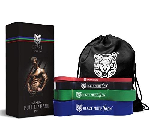 Book Cover BEAST MODE ON Premium Pull up Bands | Pull up Assistance Bands | Extra Durable Resistance Bands for Pull ups Stretching Resistance Exercise | Single Band or Set of 4 Bands | Free e-Guide Included