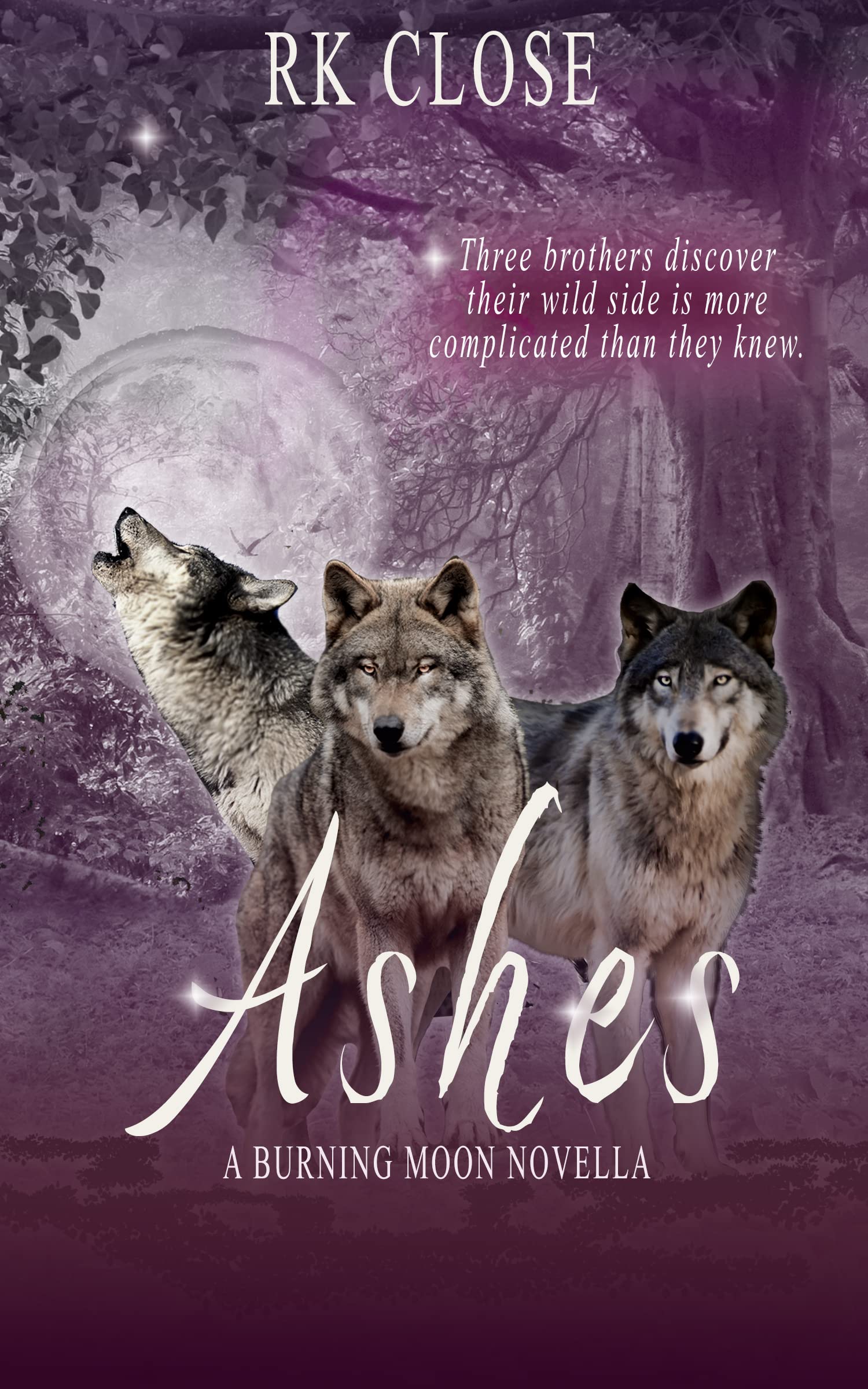 Book Cover Ashes: A Burning Moon Novella