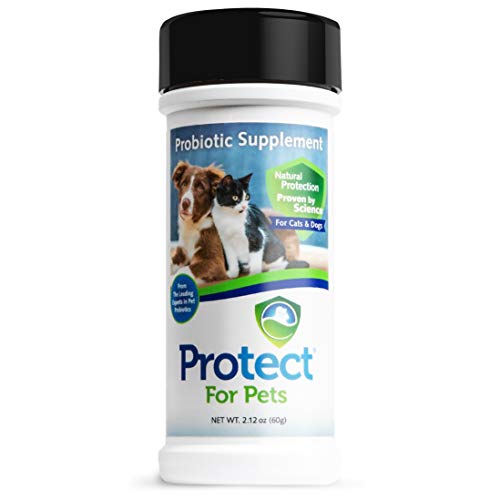 Book Cover PROTECT for Pets - Probiotic Supplement for Dogs & Cats - Pet Probiotic Powder for Digestive Health | 2.12 oz. Easy Shake-On Bottle