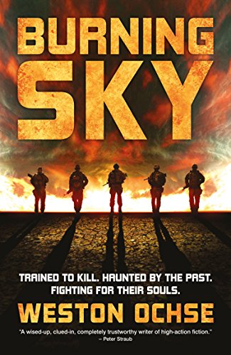 Book Cover Burning Sky