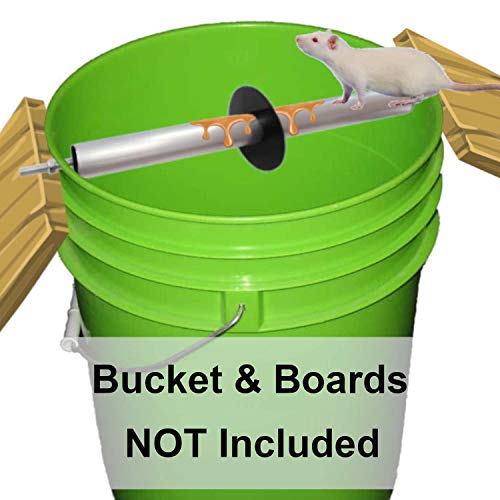 Book Cover Odesos Mouse Trap, Live Catch and Release Bucket Spin Roller with an Original Ring for Mice Rats Rodents. Humane. Auto Rolling Reset. Safe for Children and Pets Works Outdoors and Indoors