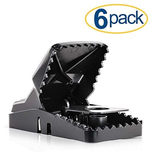 Book Cover Large Powerful Rat Traps (6 Pack) - Kills Instantly with Powerful Steel Spring - Setup in Seconds - Wash & Reuse Over & Over - Hands Free Disposal - Rat Control without Harmful Poisons or Chemicals