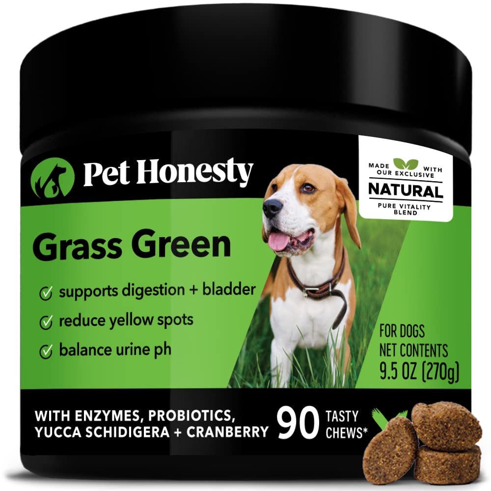 Book Cover PetHonesty Grass Green - Grass Burn Spot Chews for Dogs - Dog Pee Grass Spot Saver Caused by Dog Urine - Dog Urine Neutralizer for Lawn - Cranberry, Apple Cider Vinegar, Dog Rocks - Duck (90 ct)
