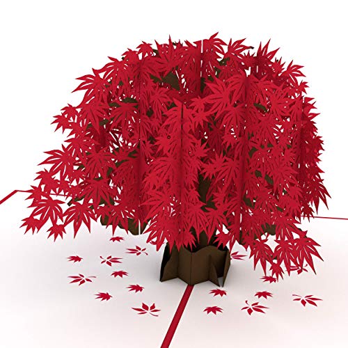 Book Cover Lovepop Japanese Maple Pop Up Card, Tree Card, Nature Card, 3D Cards, Foliage Card, Pop Up Birthday Card, Greeting Card