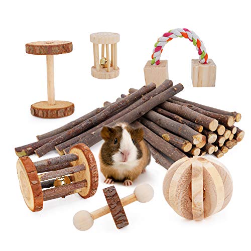 Book Cover JanYoo Guinea Pig Toys Chinchilla Hamster Roller Rat Chews Toys Bunny Rabbits Bird Exercise Molar Wooden (Pack of 7)
