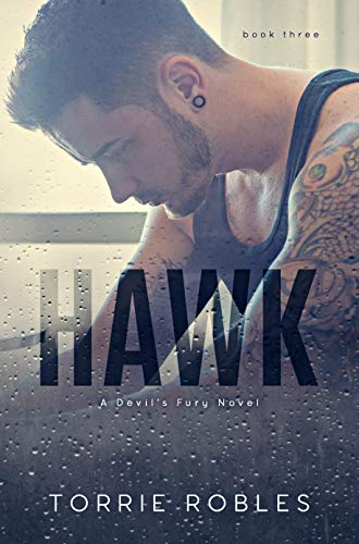 Book Cover Hawk: Devil's Fury Book 3
