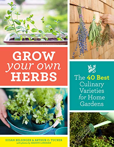 Book Cover Grow Your Own Herbs: The 40 Best Culinary Varieties for Home Gardens
