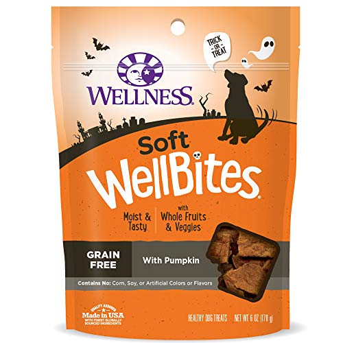 Book Cover Wellness 89168 Wellbites Pumpkin Snack, One Size