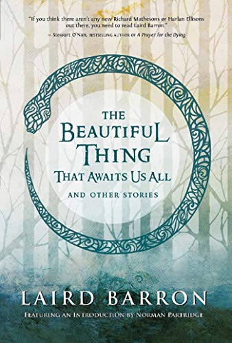 Book Cover The Beautiful Thing That Awaits Us All: Stories