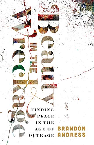 Book Cover Beauty in the Wreckage: Finding Peace in the Age of Outrage