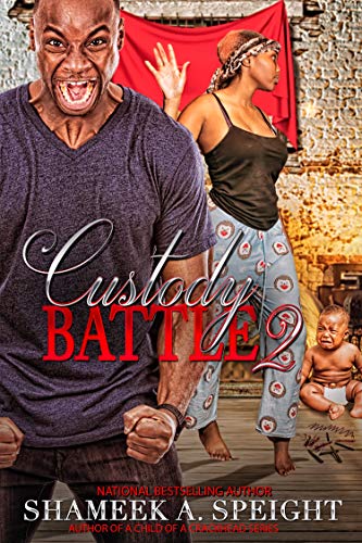 Book Cover Custody Battle 2