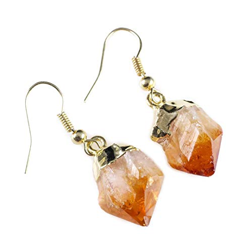 Book Cover Raw Citrine Earrings - Natural Chakra Stone Fashion Jewelry Earring, Yoga Crystals and Healing Stones E1189