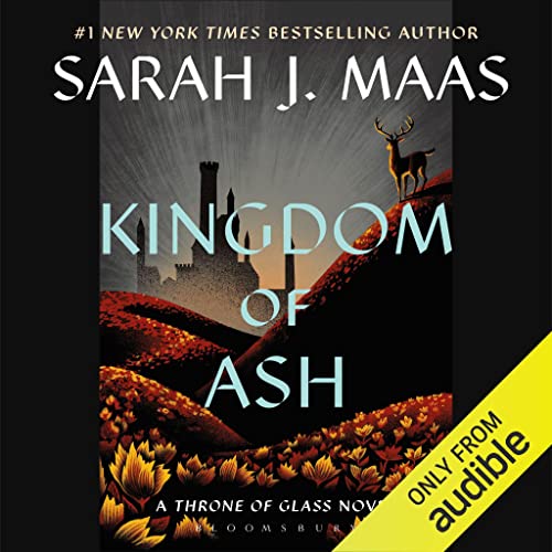Book Cover Kingdom of Ash
