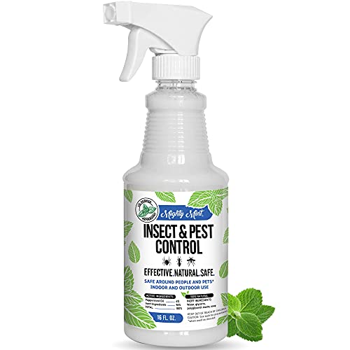Book Cover Mighty Mint - 16oz Insect and Pest Control Peppermint Oil - Natural Spray for Spiders, Ants, and More