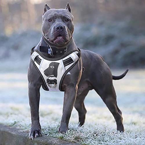 Book Cover BABYLTRL Silver Big Dog Harness No-Pull Anti-Tear Adjustable Pet Harness Reflective Oxford Material Soft Vest for Medium Large Dogs Easy Control Harness (L, Silver)