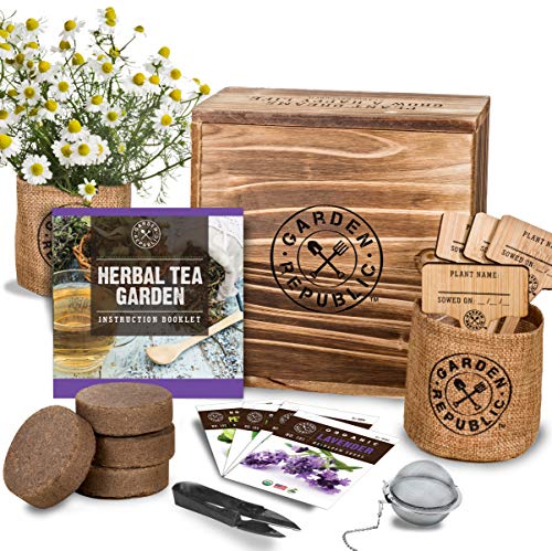 Book Cover Indoor Herb Garden Seed Starter Kit - Organic Herbal Tea Growing Kits, Grow Medicinal Herbs Indoors, Lavender Chamomile Lemon Balm Mint Seeds, Soil, Plant Markers, Planting Pots, Infuser, Planter Box