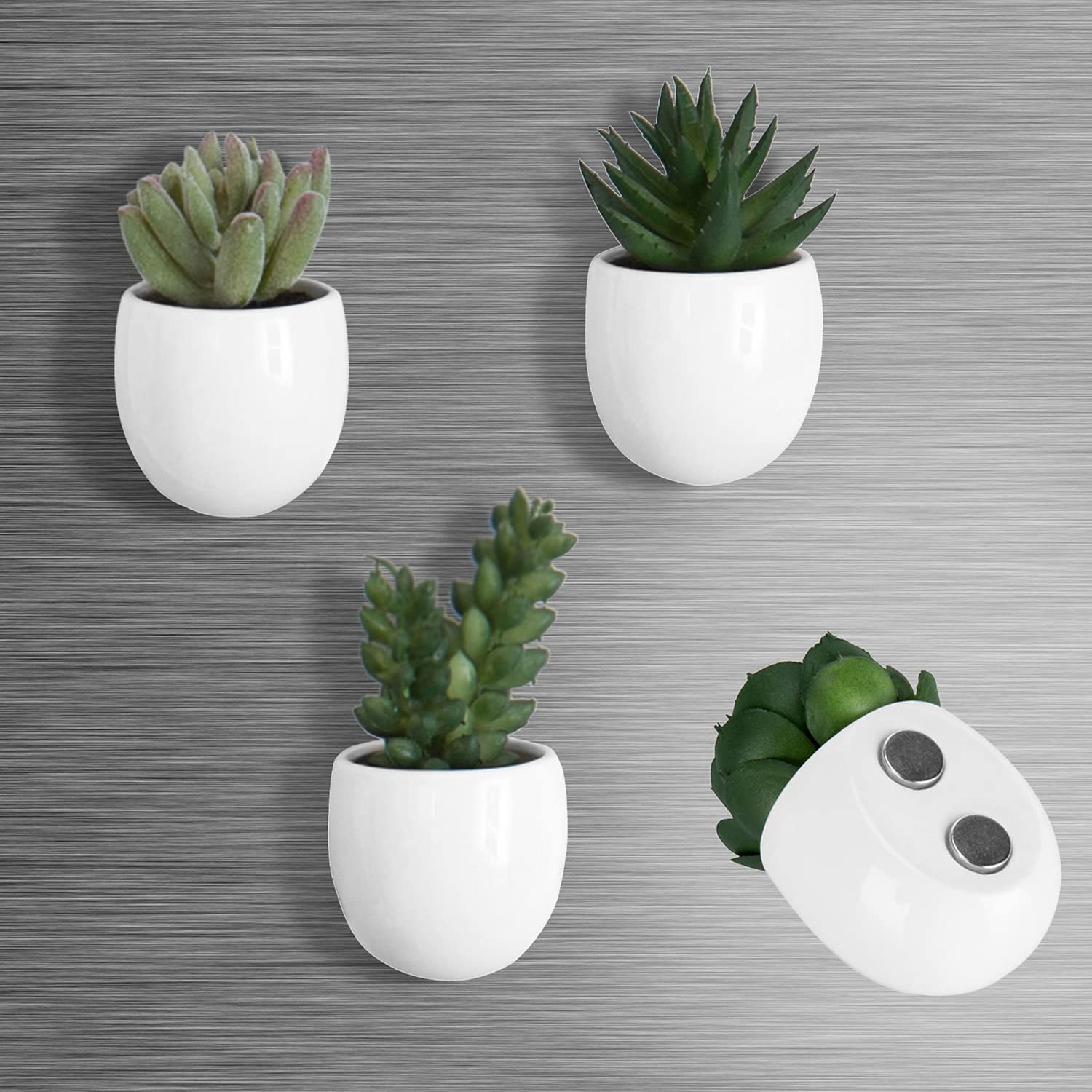 Book Cover MyGift Magnetic-Mount Faux Succulent Plants in White Ceramic Planters, Set of 4