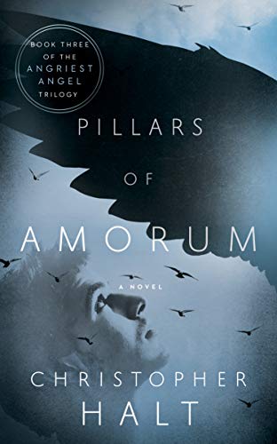 Book Cover Pillars of Amorum (The Angriest Angel Book 3)