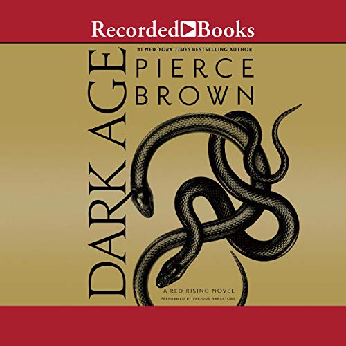 Book Cover Dark Age