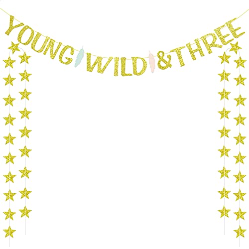 Book Cover Young Wild and Three Feather Banner and 40 Gold Star Garlands for 3rd Birthday Boho Tribal Theme Party Decorations
