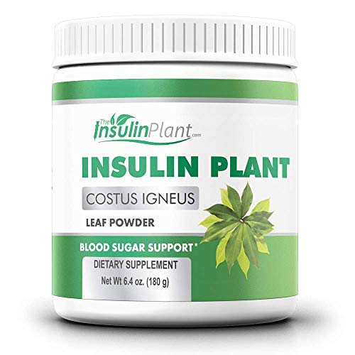 Book Cover Insulin Plant Leaf Powder (Costus Igneus) - Blood Sugar Support - 180g (2 Month Supply) - TheInsulinPlant.com