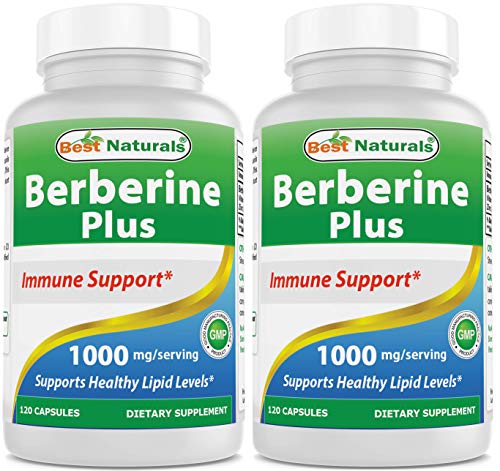 Book Cover Best Naturals Berberine Plus 1000 mg/Serving 120 Capsules - Berberine for Healthy Blood Sugar (2 Pack)