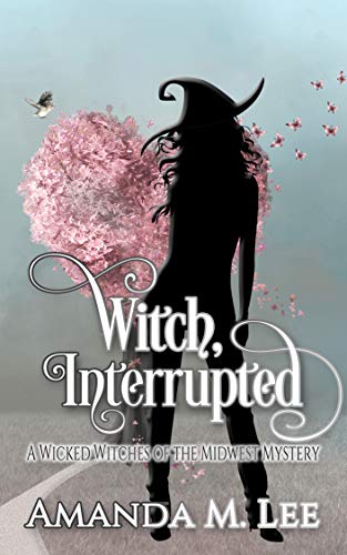 Book Cover Witch, Interrupted (Wicked Witches of the Midwest Book 13)