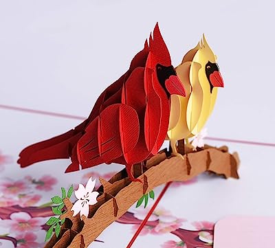 Book Cover 3D Popup Card of Cardinal Bird, Paper Art & Handicrafts, Greeting Cards, Handmade Gifts by PQDGlobal (Cardinal couple)