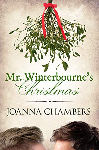 Book Cover Mr Winterbourne's Christmas